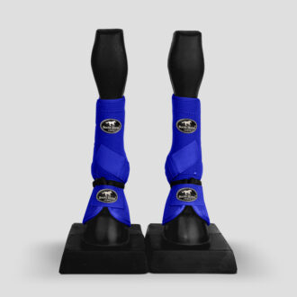 Kit Color